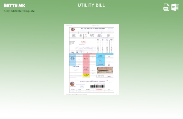 Модерен стил Шаблон верзија на сметката за електрична енергија на Пакистан Мулта